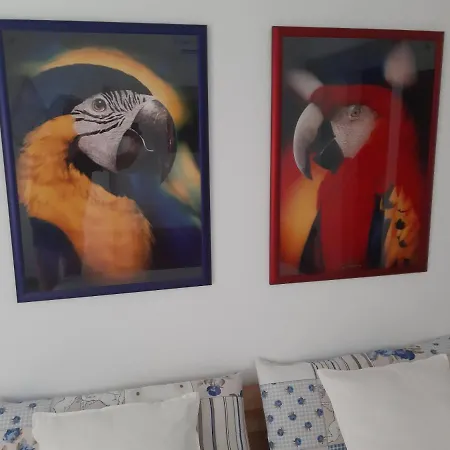 Gran-canaria-ideal - Romeo Feliz * Сан-Бартоломе