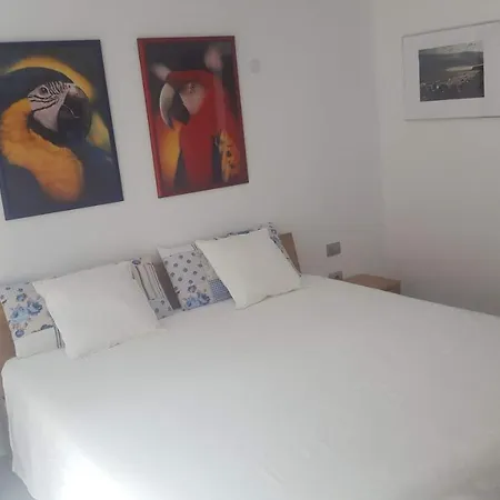 Gran-canaria-ideal - Romeo Feliz * Сан-Бартоломе